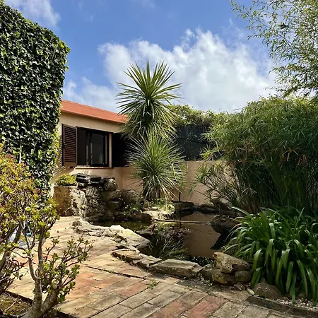Villa Paradise House Pool Garden Lagos
